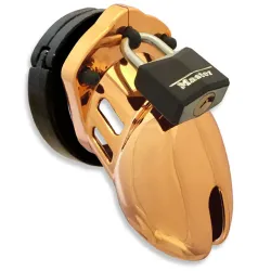 CB-X - CB6000S Kuisheidskooi - Gold