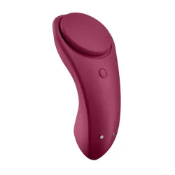 Satisfyer Sexy Secret Panty Vibrator APP